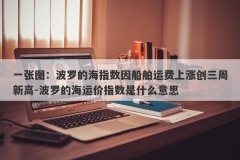 一张图：波罗的海指数因船舶运费上涨创三周新高-波罗的海运价指数是什么意思