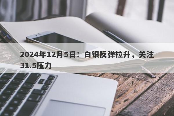 2024年12月5日：白银反弹拉升，关注31.5压力