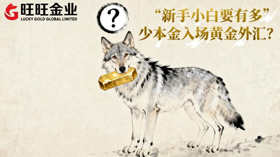 <strong>新手小白要有多少本金入场黄金外汇?</strong>